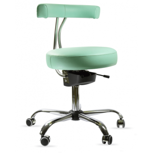 Medical Stool with back